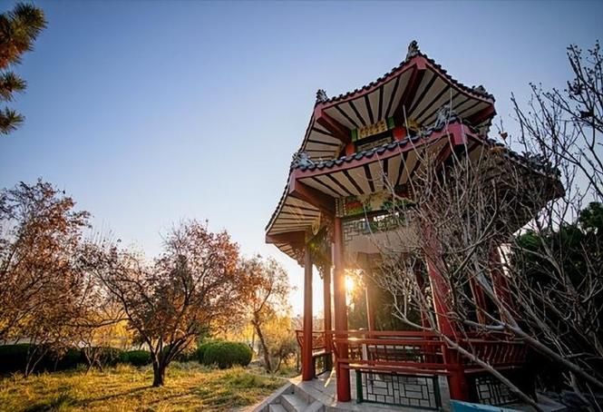 德城区城市管理局新湖景区管理中心邀您邂逅初冬美景